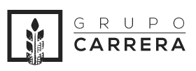 Grupo Carrera